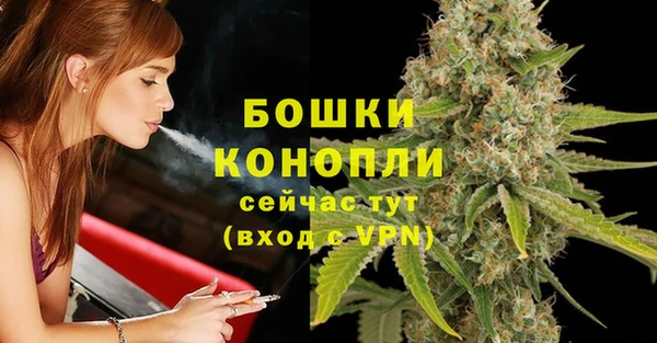 сатива Аркадак