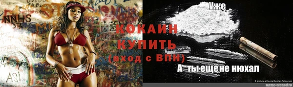 спиды Армянск